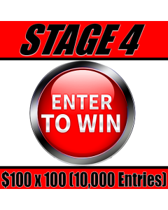 Stage 4 100 x 100